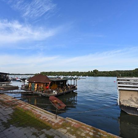 Apartament Hidden Gem Belgrad Zewnętrze zdjęcie